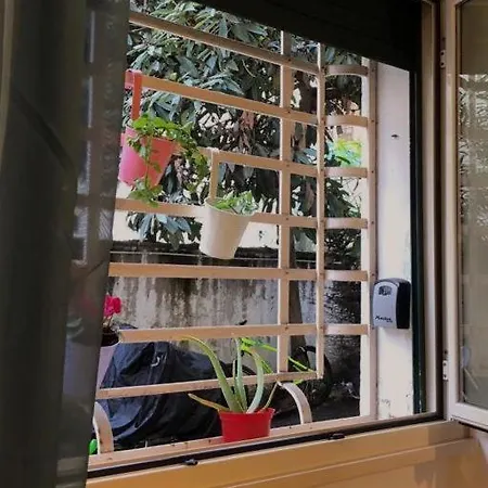 Quiet & Cosy Colosseum *