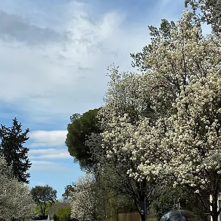 Quiet & Cosy Colosseum *